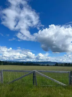 a fence in the middle of a field at Modern mountain cabin in Tisleidalen, Golsfjellet in Gol