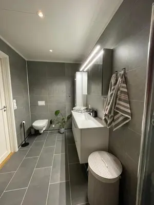 a bathroom with a sink and a toilet at Strandhus i idylliske omgivelser in Batnfjordsøra