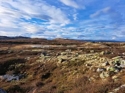 an open field with rocks and a cloudy sky at Mountain villa with amazing view of Hardangervidda! in Nørdstebø