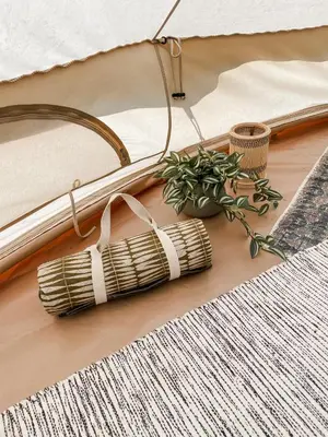 a plant sitting on a floor next to a tent at Glamping Kalhagen in Vangsbygd