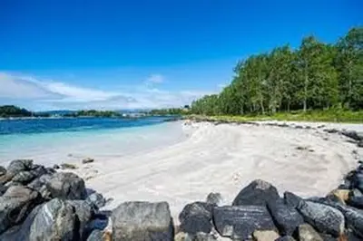 a beach with rocks and the water and trees at Panoramic View & Comfort in Ålesund