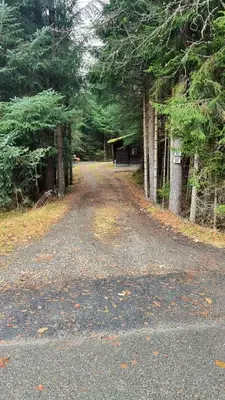 a gravel road with a bench in the middle of a forest at Skogshytte in Holmøyane