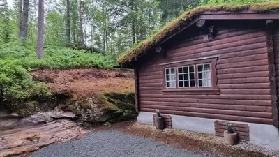 a log cabin with a window and a grass roof at Skogshytte in Holmøyane
