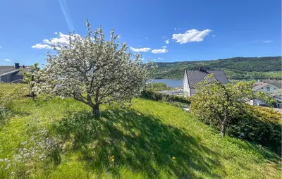 a tree on a grassy hill with a lake at 2 Bedroom Nice Apartment In Lillehammer in Lillehammer