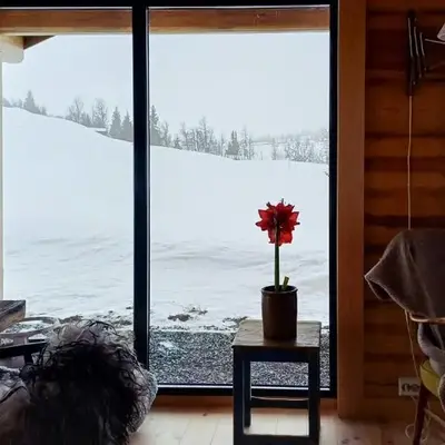 Cabin With Panoramic Views At Syndin Plateau