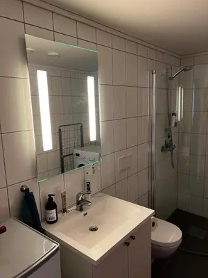 a bathroom with a sink and a toilet and a mirror at Staupslia Apartment in Levanger