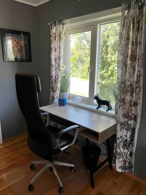 a black cat sitting on a desk in front of a window at Staupslia Apartment in Levanger