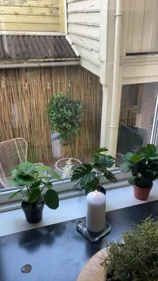 a candle sitting on a window sill with plants at Hyggehuset in Bergen