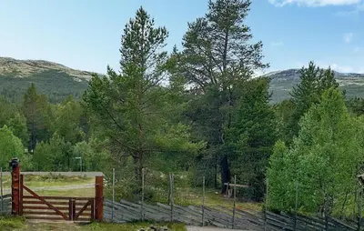 a fence in front of a field with trees at 4 Bedroom Stunning Home In Tynset in Tynset