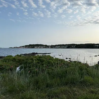 a large body of water with a bunch of grass and flowers at 047 Farmhouse - Nevlunghavn in Lii