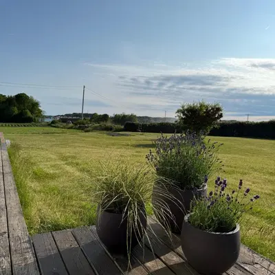 two potted plants on a wooden deck with a field at 047 Farmhouse - Nevlunghavn in Lii