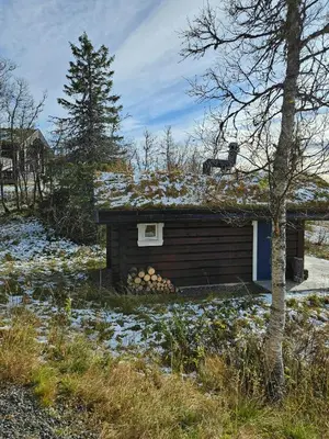 a dog sitting on the roof of a log cabin at Timber Cabin With Mountain Views In Synnfjellet in Skartlia