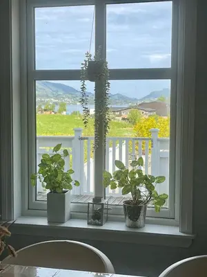 a window with two potted plants on a window sill at Summer villa with heated pool 50 min from Bergen