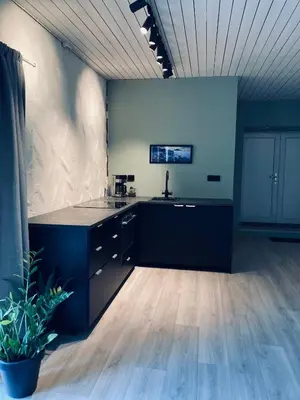 a large kitchen with black cabinets and a potted plant at Petersstova in Ålesund
