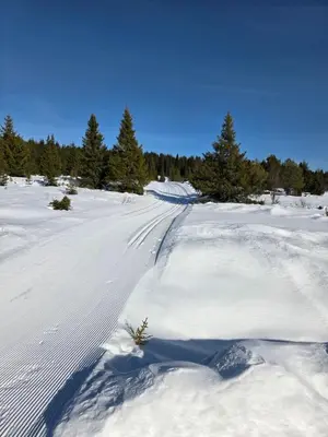 a snow covered road with tracks in the snow at Koselig liten fjellhytte i flott turterreng både sommer og vinter in Hovda