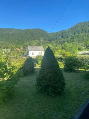 two trees in a yard with a house in the background at Cozy house closw in Lii