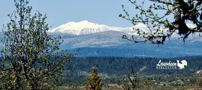 a snow covered mountain in the distance with a tree at Lauvåsen - Langleiken in Sør-Fron