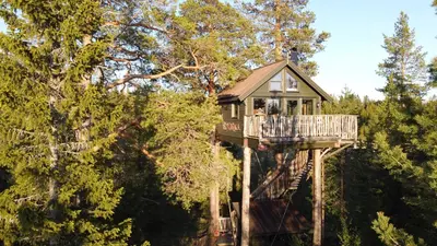 a tree house in the middle of the forest at Tretopphytta Kraggbua