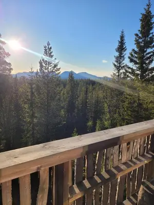 a wooden deck with a view of a forest at Tretopphytta Kraggbua