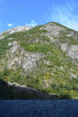 a mountain with green plants on the side of it at Skogshytte in Bjordal