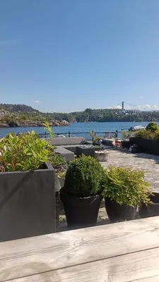 a group of potted plants sitting on a table near the water at Koselig hus med egen brygge in Askøy