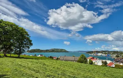 a view of a body of water with a tree at Awesome Home In Fitjar With Wifi in Fitjar