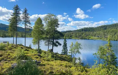 a view of a lake with trees on the shore at 4 Bedroom Nice Home In Vinje in Trovatn