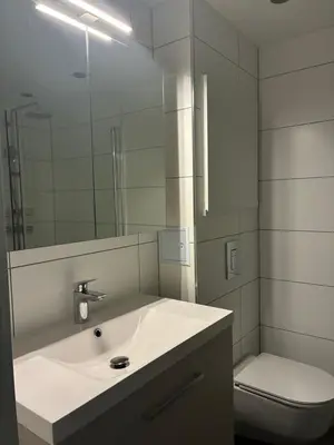 a white bathroom with a sink and a toilet at FINN-bruker in Lii