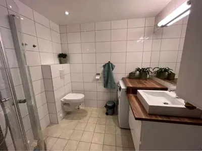 a bathroom with a toilet and a sink and a shower at The house next to the fjord in Trondheim