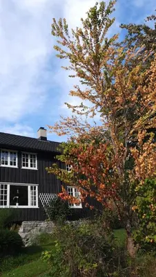a tree in front of a black building at Historic Log House At The Foot Of Middagstind in Sæbø