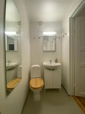 a bathroom with a toilet and a sink at Unique relaxed corner flat in central Bergen in Bergen