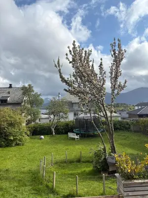 a yard with a tree and a fence at Entire home with pool and garden in Ålesund