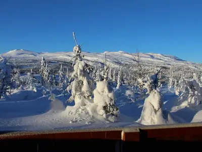 a snow covered yard with trees covered in snow at 10 person holiday home in NORDTORPA in Nord Torpa