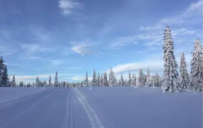 a snowy field with snow covered trees and a road at 2 Bedroom Cozy Home In Sjusjøen in Sjusjøen