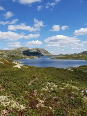 a lake in a field with mountains in the background at Gaustatoppen Hytteutleie in Gaustablikk
