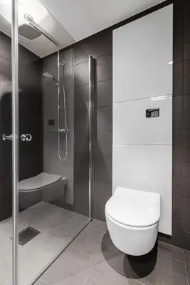 a bathroom with a toilet and a glass shower at Penthouse with large rooftop terrace, Ski In-Ski Out in Hemsedal in Hemsedal