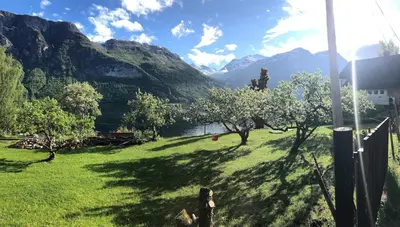 a green field with trees and mountains in the background at Cabin in Oppstryn in Stryn