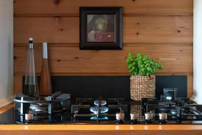 a kitchen counter with a stove top with a plant at Spacious Family Cabin At Nesfjellet With Views in Nesbyen