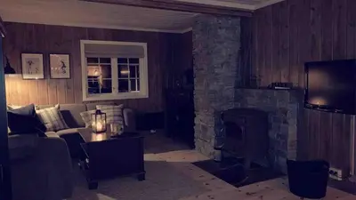 a living room with a couch and a fireplace at Hovden Fjellpark 71 in Hovden