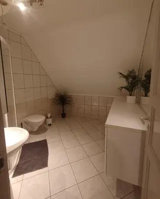 a bathroom with a toilet and a sink with plants at Nesvika 5 bedroom holiday home, only 25 min from Bergen in Bergen