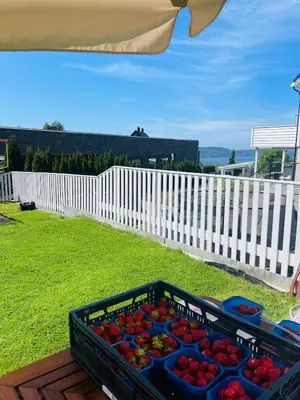a crate of strawberries sitting on a deck next to a fence at Floien City Apartment -Free parking in Bergen