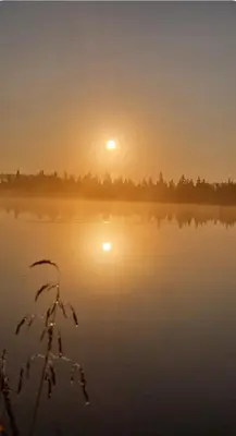 a misty lake with the sun setting in the background at Nordseter Sjusjøen fiske, jakt, tur og ski in Lillehammer