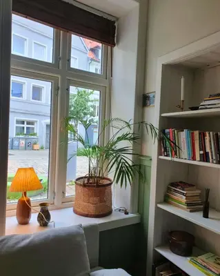 a window with a plant in a basket on a window sill at You cottage in the city in Bergen