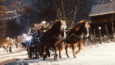 a group of people riding in a horse drawn carriage in the snow at 4-Bedroom Ski-In Family Cabin at Geilolia hyttetun in Hol