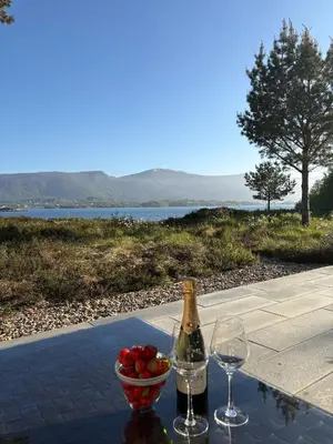 a bottle of wine and a bowl of fruit on a table at Exclusive seafront villa in Ålesund