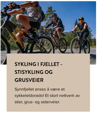 three people riding bikes down a road at Synnseter, Synnfjellet, Fjellstuguvegen 38, 2880 Nord Torpa in Lii