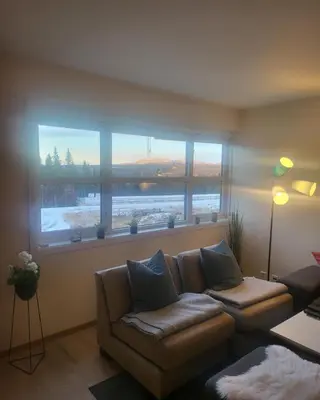 a living room with a couch and two windows at Synnseter, Synnfjellet, Fjellstuguvegen 38, 2880 Nord Torpa in Lii