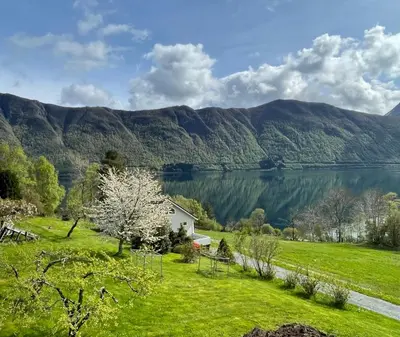 a house in a field with a view of a lake at Spacious House with Fjordview in Lauvstad