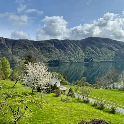 Spacious House with Fjordview