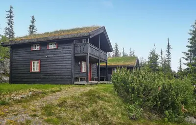 a black house with a grass roof on a hill at Amazing Home In Eggedal With Sauna in Eggedal